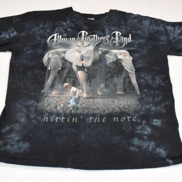 Vintage 2003 Allman Brothers Band (hittin' the note) Beacon Theatre NYC T shirt - Picture 1 of 6
